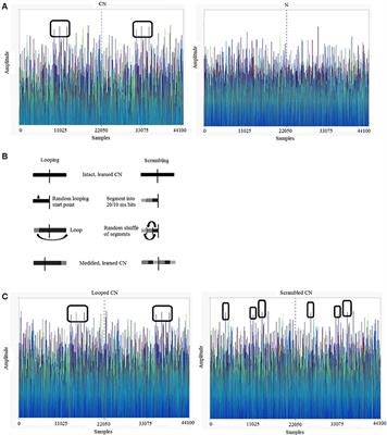 Long Term Memory for Noise: Evidence of Robust Encoding of Very Short Temporal Acoustic Patterns